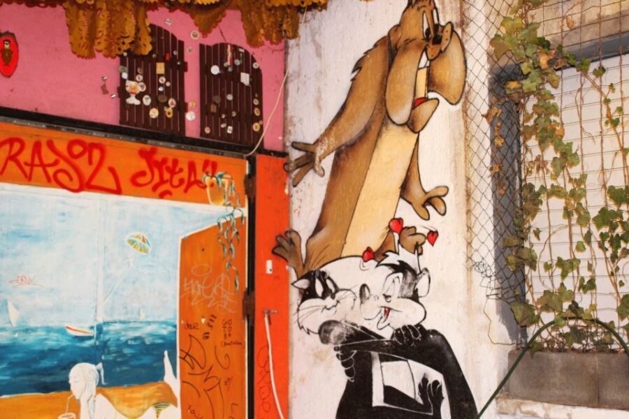 Budapest: Ruin Bar Tour - Key Highlights You’ll Feel Immediately