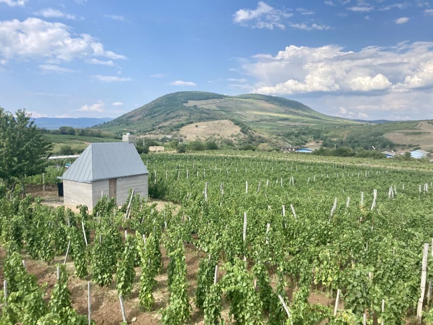 Eger: Countryside, Culture, and Wine Private Tour - Price and Value: What $300 Buys You on This Private Day Trip