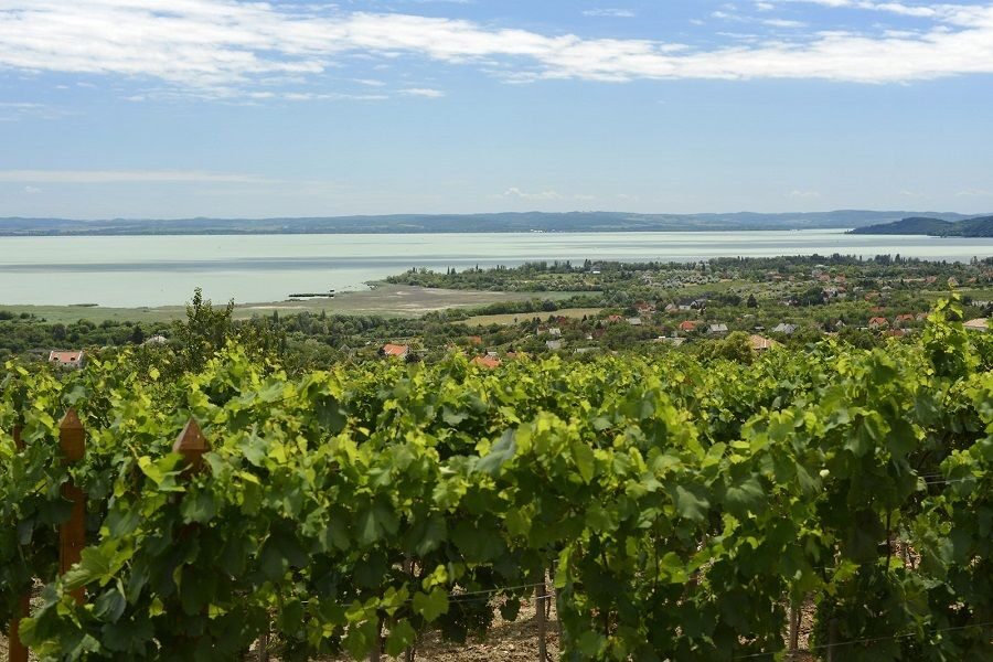 The Turquoise Sea of Hungary: Lake Balaton Private Tour - Balatonfüred promenade: where the lake meets the good-life details