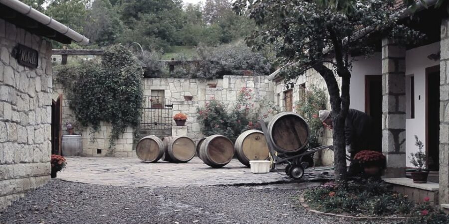Tokaj Private Day Tour from Budapest - Mád and Bodrogkeresztúr vineyards: seeing where the character comes from